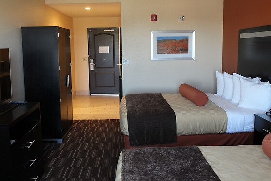 Online Booking EPS - photo 9