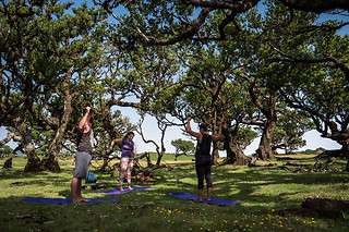 Chicago River Yoga Walk for 5 people