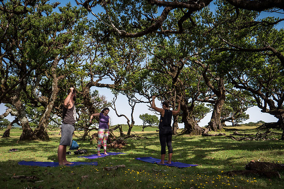 Chicago River Yoga Walk for 5 people