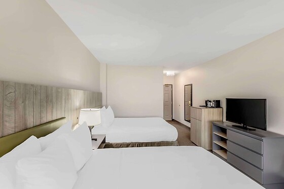 Online Booking EPS - photo 6