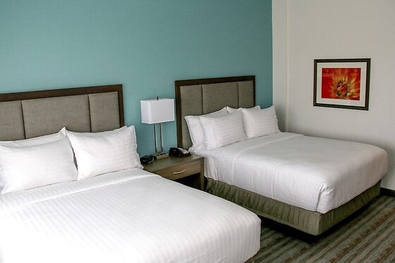 Online Booking EPS - photo 1