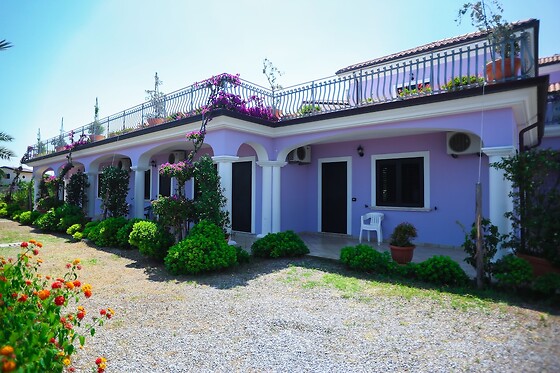 Online Booking EPS - photo 4