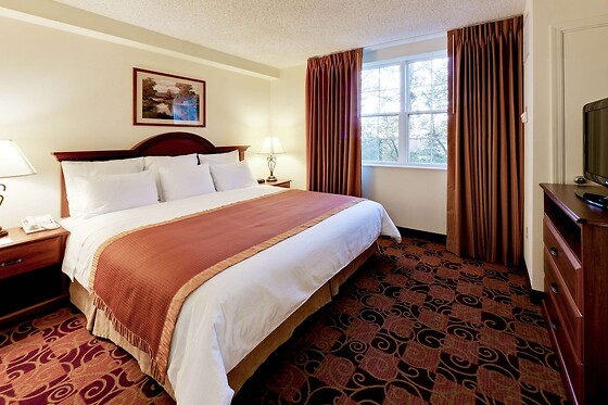 Online Booking EPS - photo 5