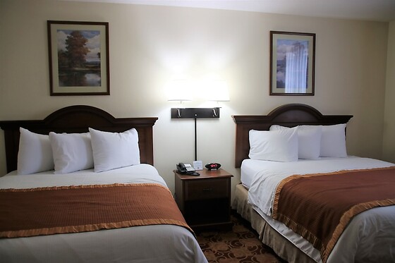 Online Booking EPS - photo 9