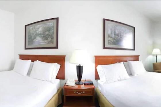 Online Booking EPS - photo 6