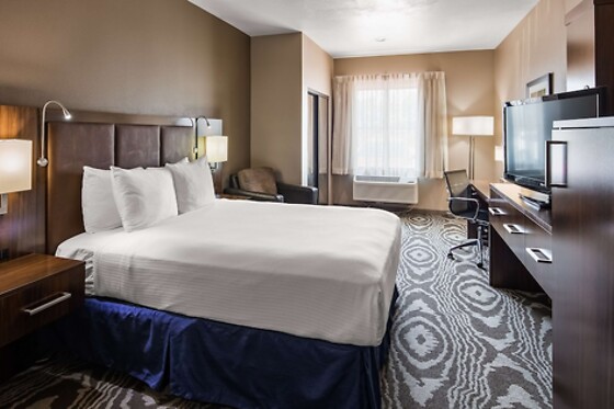 Online Booking EPS - photo 3