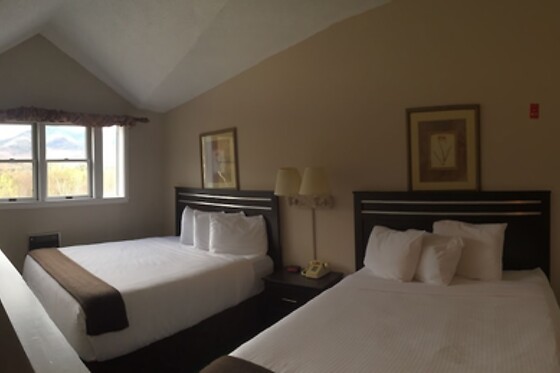 Online Booking EPS - photo 10