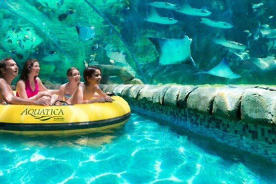 Aquatica Orlando Admission in Orlando, FL