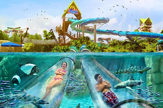 Aquatica Orlando Admission in Orlando, FL