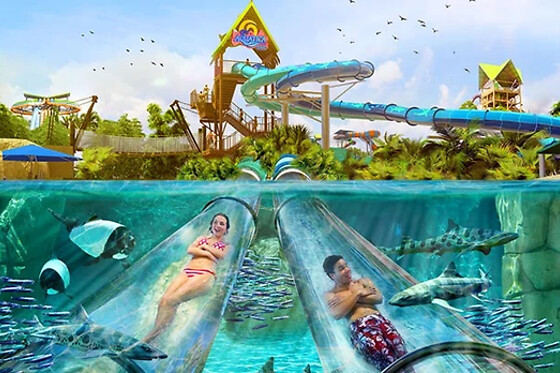 Aquatica Orlando Admission in Orlando, FL