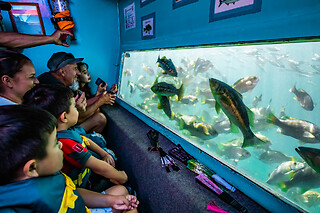 Family Glass bottom boat cruise