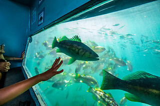 Family Glass bottom boat cruise