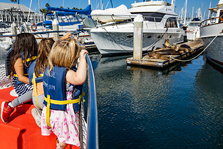 Family Glass bottom boat cruise