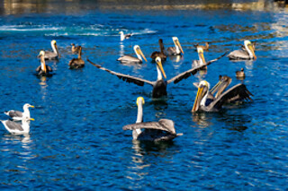 Couple Glass bottom boat tour