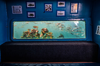 Couple Glass bottom boat tour