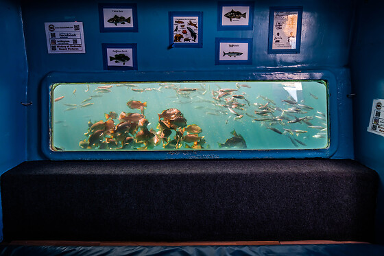 Couple Glass bottom boat tour