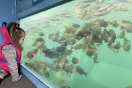 Glass Bottom Boats  LLC