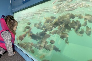 Family Glass bottom boat cruise