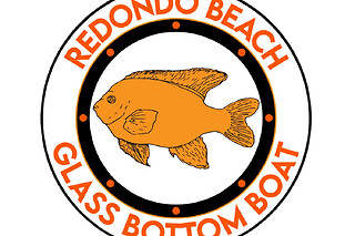 Family Glass bottom boat cruise