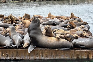 Couple Glass bottom boat tour