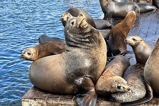 Couple Glass bottom boat tour