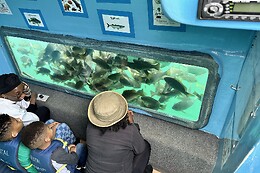 Glass Bottom Boats  LLC
