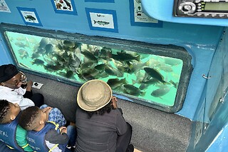 Family Glass bottom boat cruise