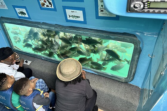 Single Adult Fare - Glass bottom boat cruise