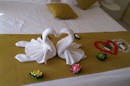 Online Booking EPS