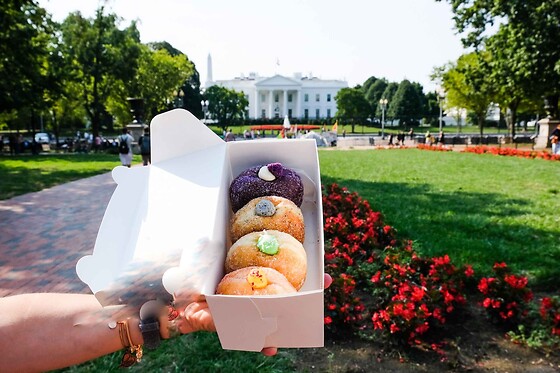 Washington DC Historic Donut Tour for 1