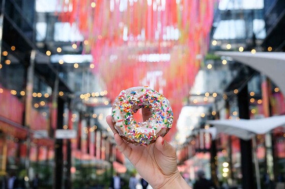 Washington DC Historic Donut Tour for 1