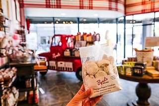 Savannah Historic District Donut Tour for 2