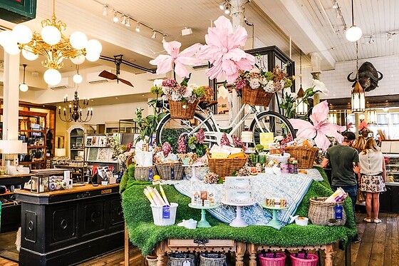 Savannah Historic District Donut Tour for 2