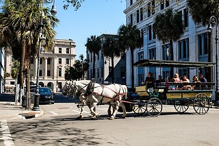 Savannah Historic District Donut Tour for 2