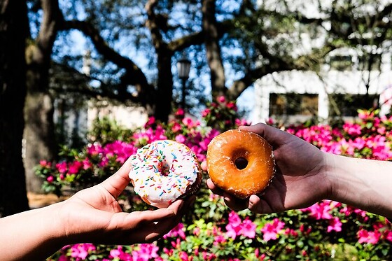 Savannah Historic District Donut Tour for 2