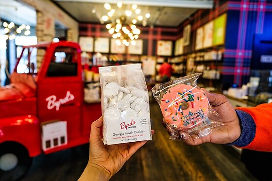 Savannah Historic District Donut Tour for 2