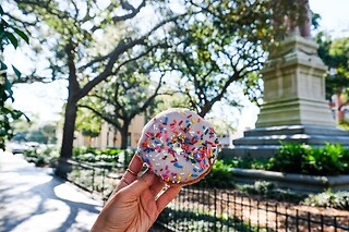 Savannah Historic District Donut Tour for 2