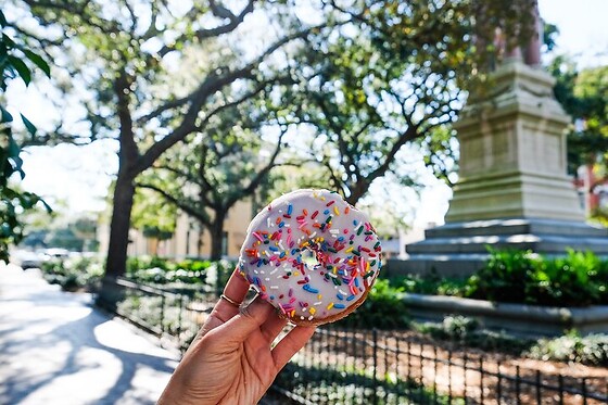 Savannah Historic District Donut Tour for 2