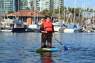 Stand up Paddle with Sea Lions at Fun Surf LA, Marina del Rey