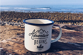 Stand up Paddle with Sea Lions at Fun Surf LA, Marina del Rey