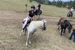 Black Hills Adventure Tours
