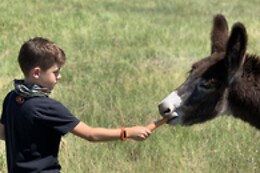 Black Hills Adventure Tours
