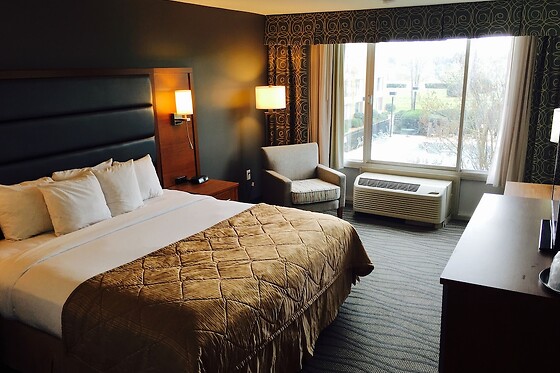 Online Booking EPS - photo 8