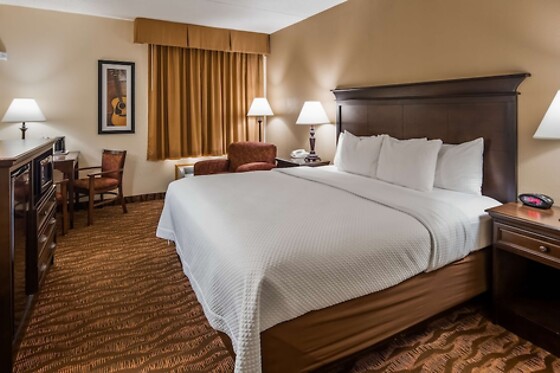 Online Booking EPS - photo 7