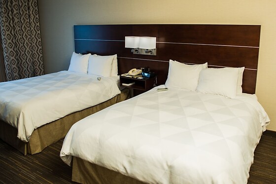 Online Booking EPS - photo 8