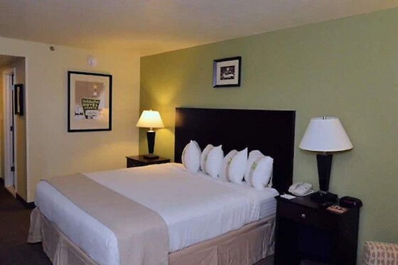 Online Booking EPS - photo 1