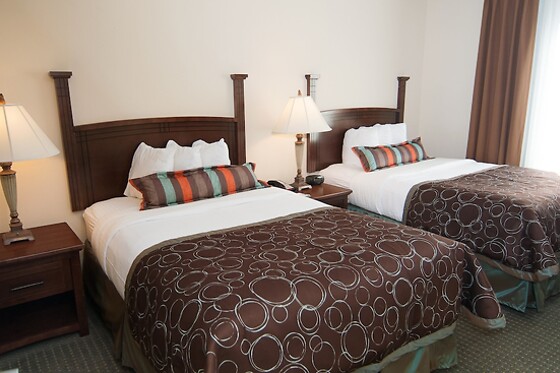 Online Booking EPS - photo 8