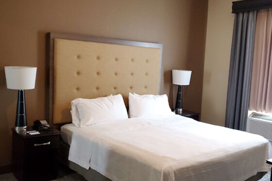 Online Booking EPS - photo 3
