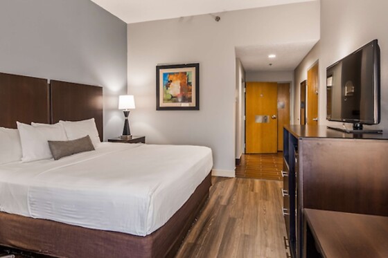 Online Booking EPS - photo 9