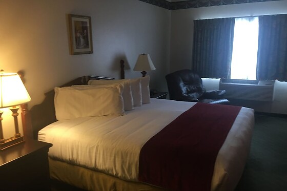 Online Booking EPS - photo 6